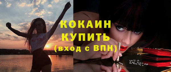 ПСИЛОЦИБИНОВЫЕ ГРИБЫ Няндома