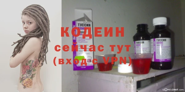 молекула духа Осинники