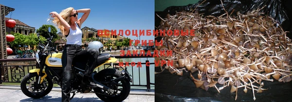 ПСИЛОЦИБИНОВЫЕ ГРИБЫ Няндома