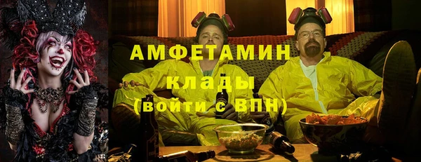 ПСИЛОЦИБИНОВЫЕ ГРИБЫ Няндома
