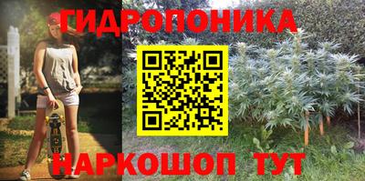 гашик Кимры