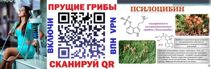 Галлюциногенные грибы Psilocybe  гидра сайт  Лянтор 