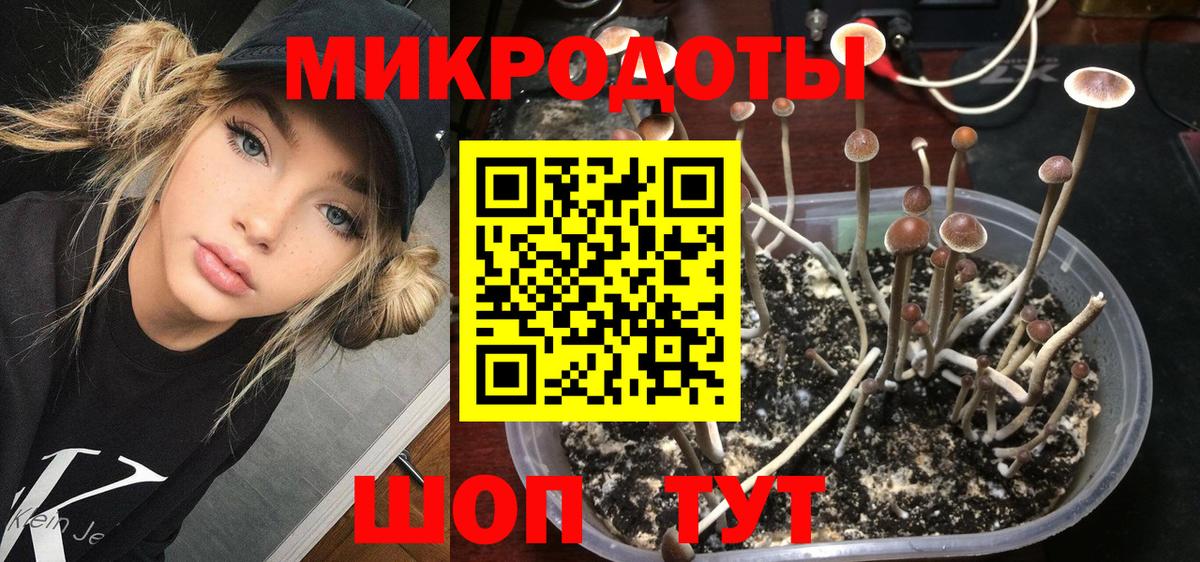 Псилоцибиновые грибы Cubensis  Псилоцибиновые грибы Cubensis  Лянтор 